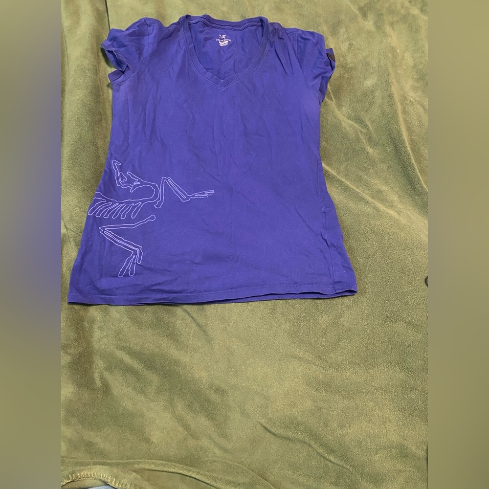 Arc'teryx Blue Top